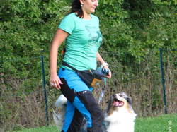 Galerie photos exemple