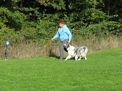 Galerie photos exemple