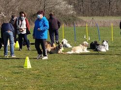 Galerie photos exemple