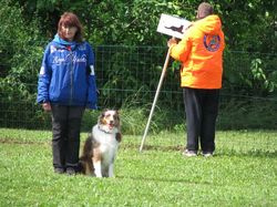 Galerie photos exemple