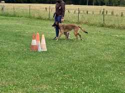 Galerie photos exemple