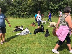 Galerie photos exemple