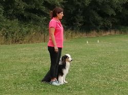 Galerie photos exemple