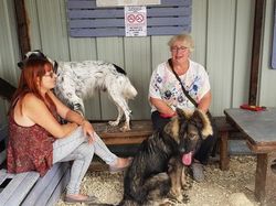 Galerie photos exemple