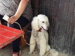 Galerie photos exemple