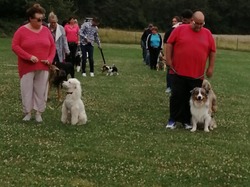 Galerie photos exemple