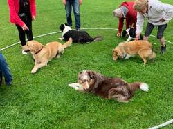 Galerie photos exemple