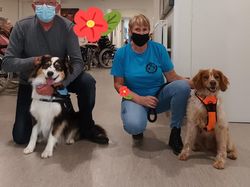 Galerie photos exemple