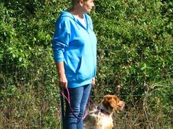 Galerie photos exemple