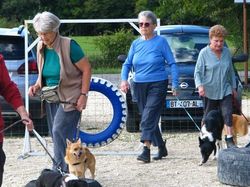 Galerie photos exemple