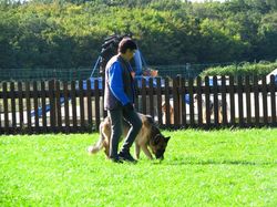 Galerie photos exemple