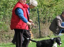 Galerie photos exemple