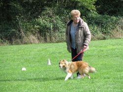 Galerie photos exemple