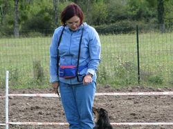 Galerie photos exemple