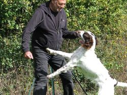 Galerie photos exemple