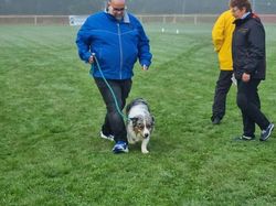 Galerie photos exemple