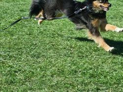 Galerie photos exemple