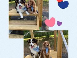 Galerie photos exemple