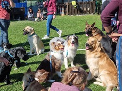 Galerie photos exemple