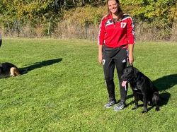 Galerie photos exemple