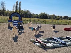 Galerie photos exemple