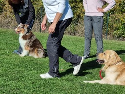 Galerie photos exemple