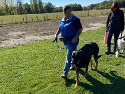 Galerie photos exemple