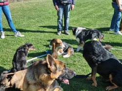 Galerie photos exemple