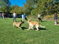 Galerie photos exemple