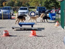 Galerie photos exemple