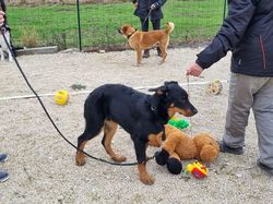 Galerie photos exemple