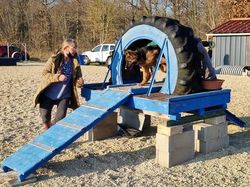 Galerie photos exemple